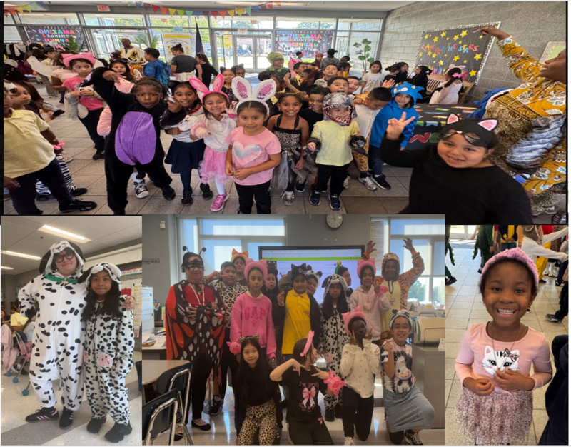 Animal Adventure Day!