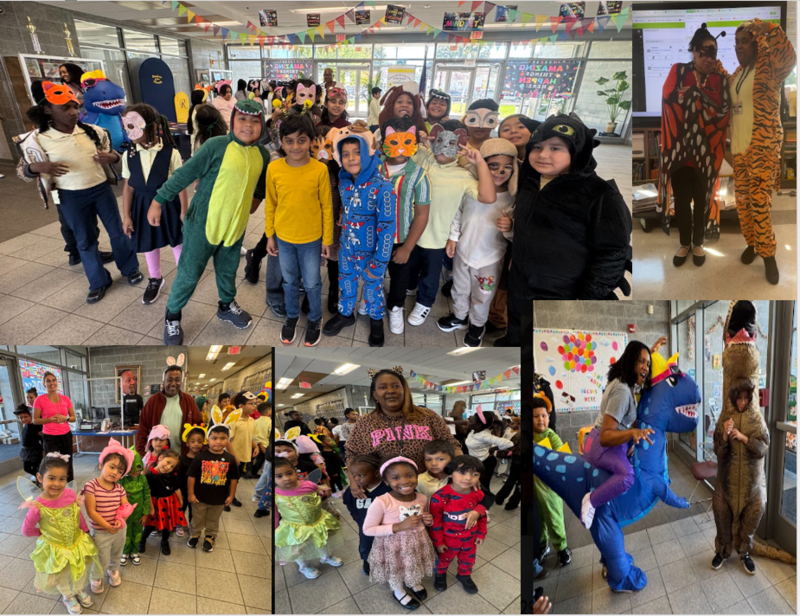 Animal Adventure Day!