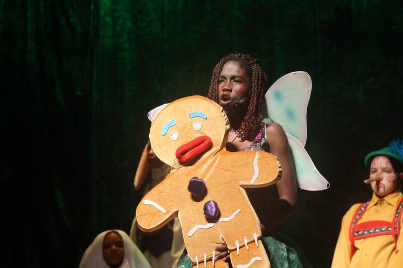 shrek the musical 