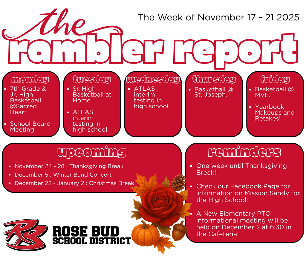 rambler report (5)
