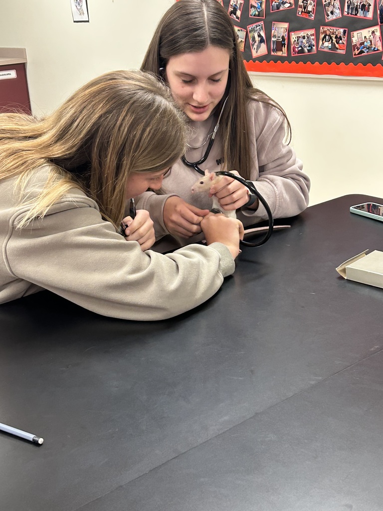 A&P Students holding rat and stethlescope