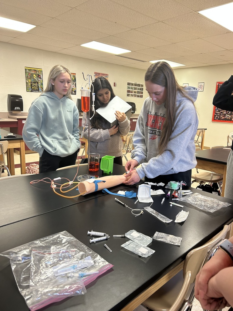 Phlebotomy students drawing blood