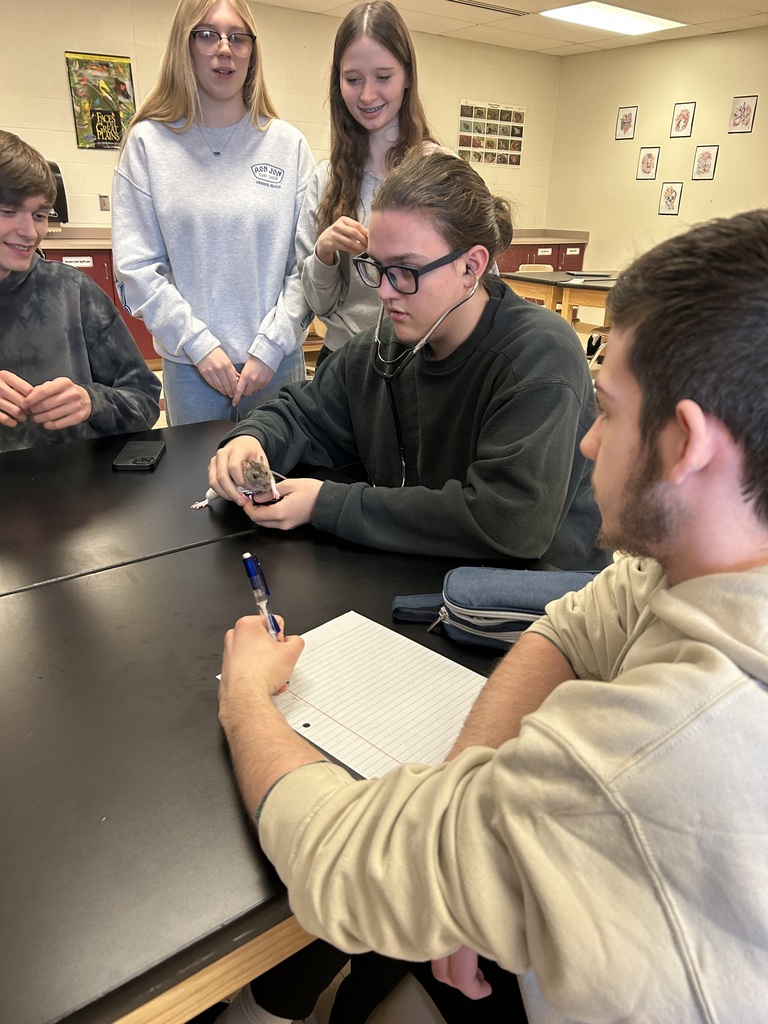 A&P Students testing lab rats with stethoscope 
