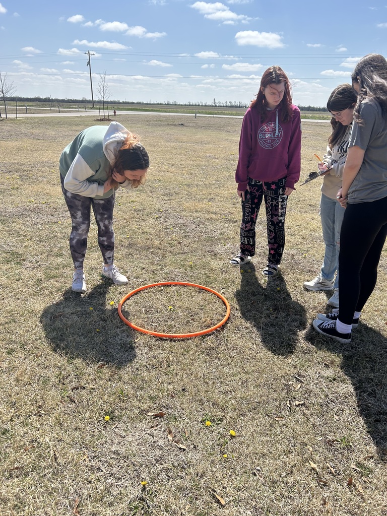 estimating population size to conduct quadrat sampling of dandelions around the school