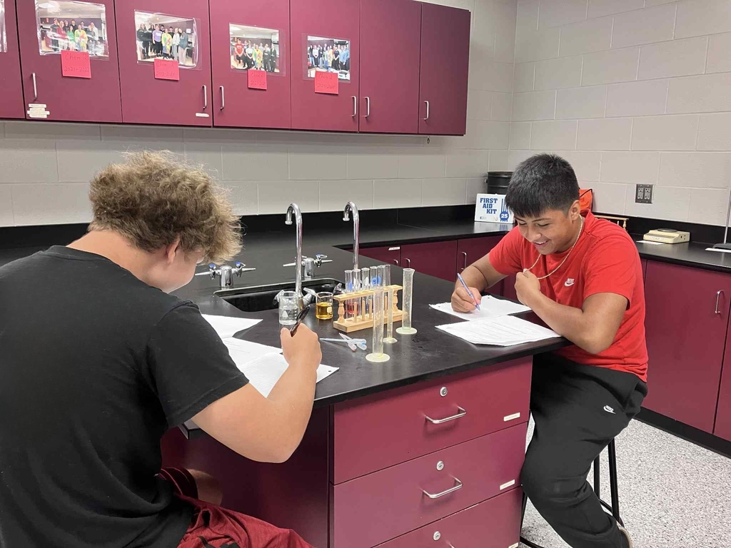 2 boys learning in chem class