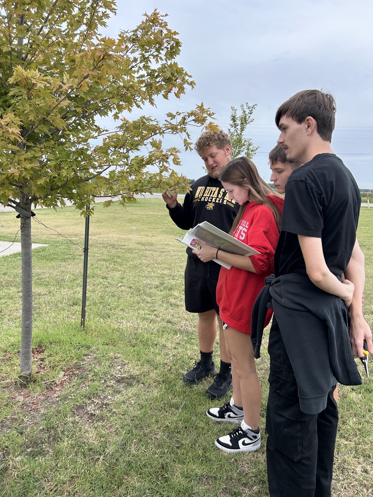 Students studying trees