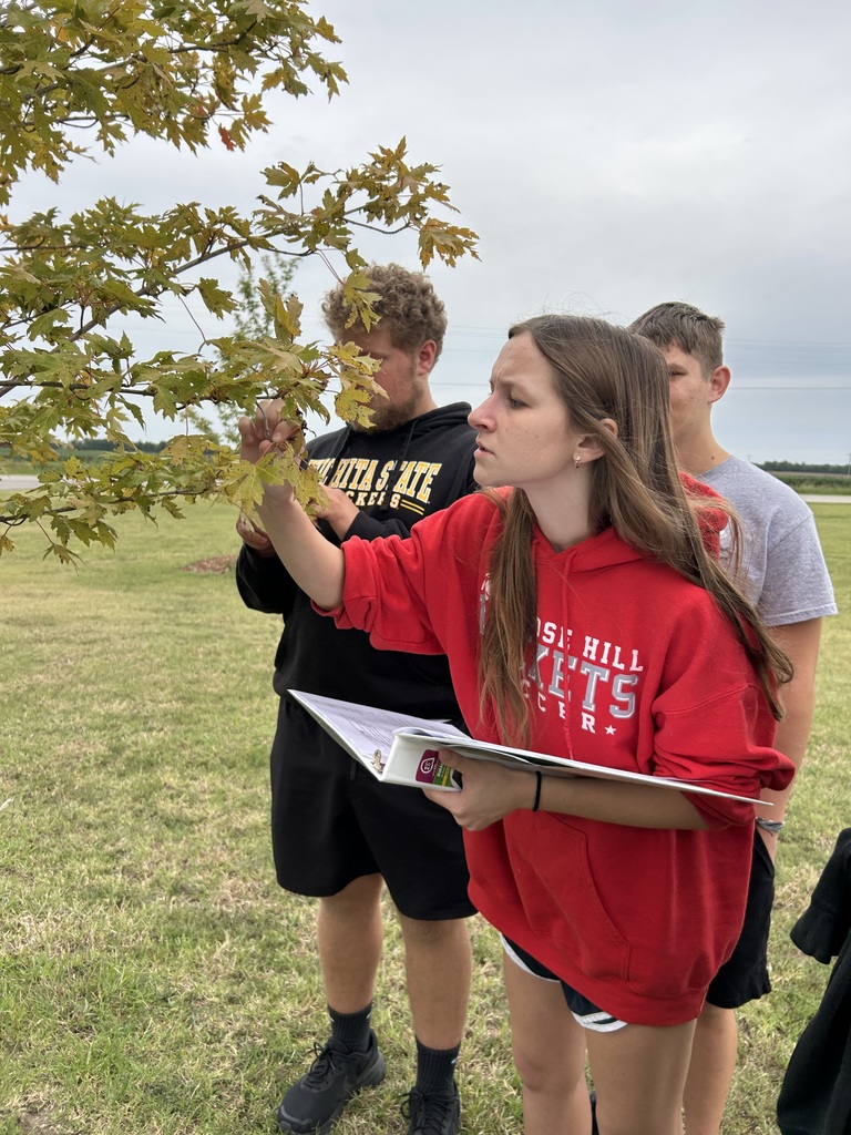 Students studying trees close up
