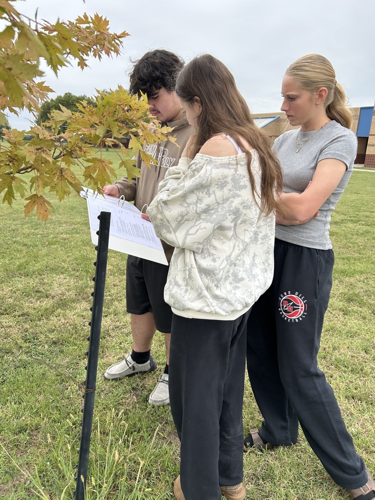 Students studying trees