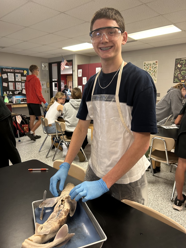 Shark Dissection 2