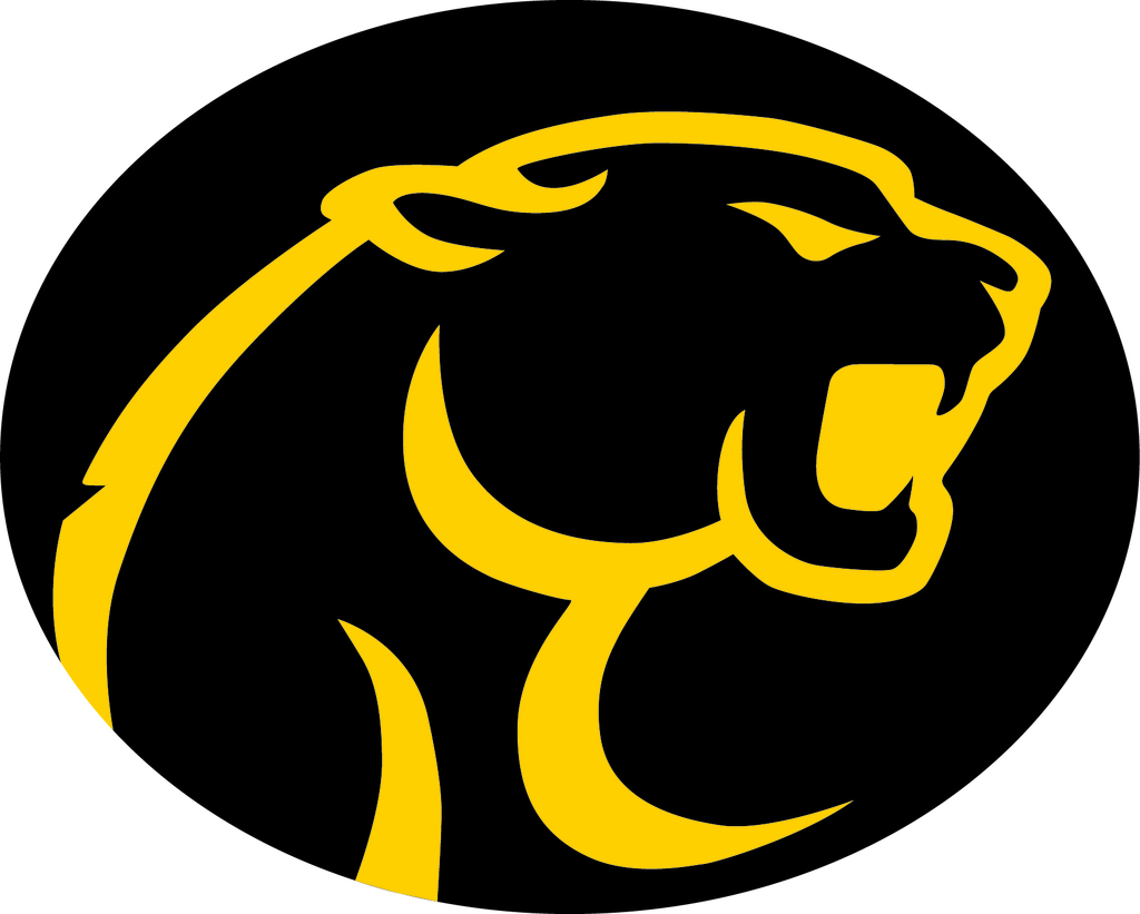 A bold, stylized yellow panther silhouette on a dark grey oval background, depicting a roaring stance, conveying strength and dominance.