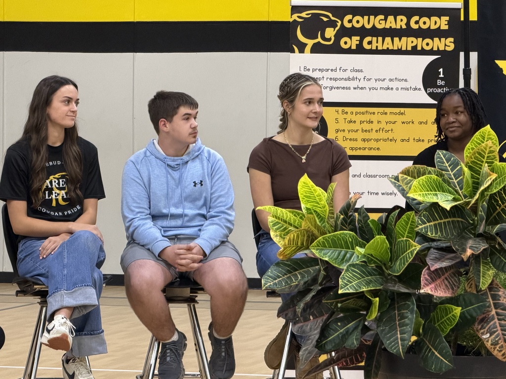 Four students in casual clothing sit on stools in a gym, with one holding a plant.