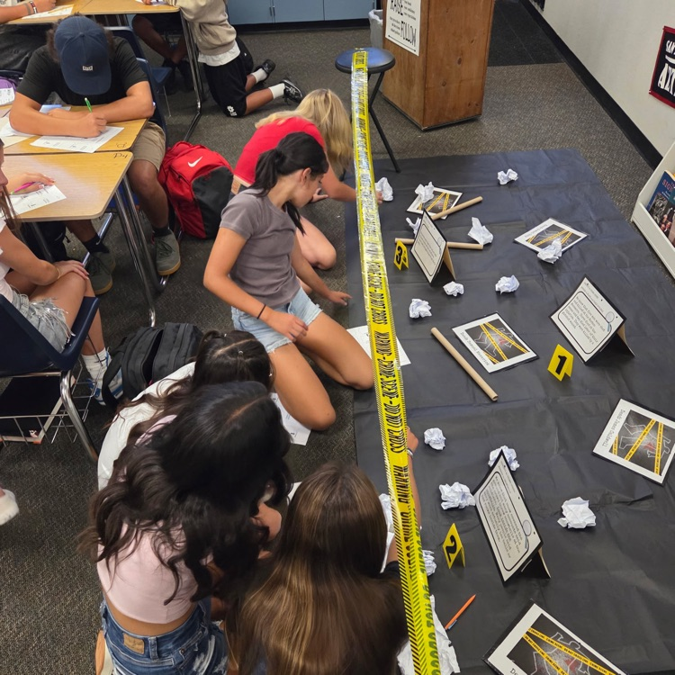 students working on a project