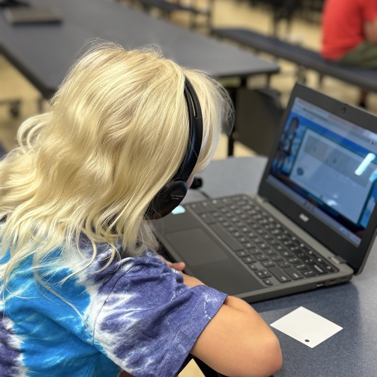 student sitting at computer with headphones on