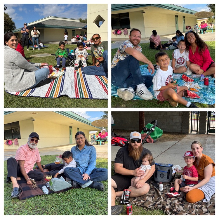 family picnic
