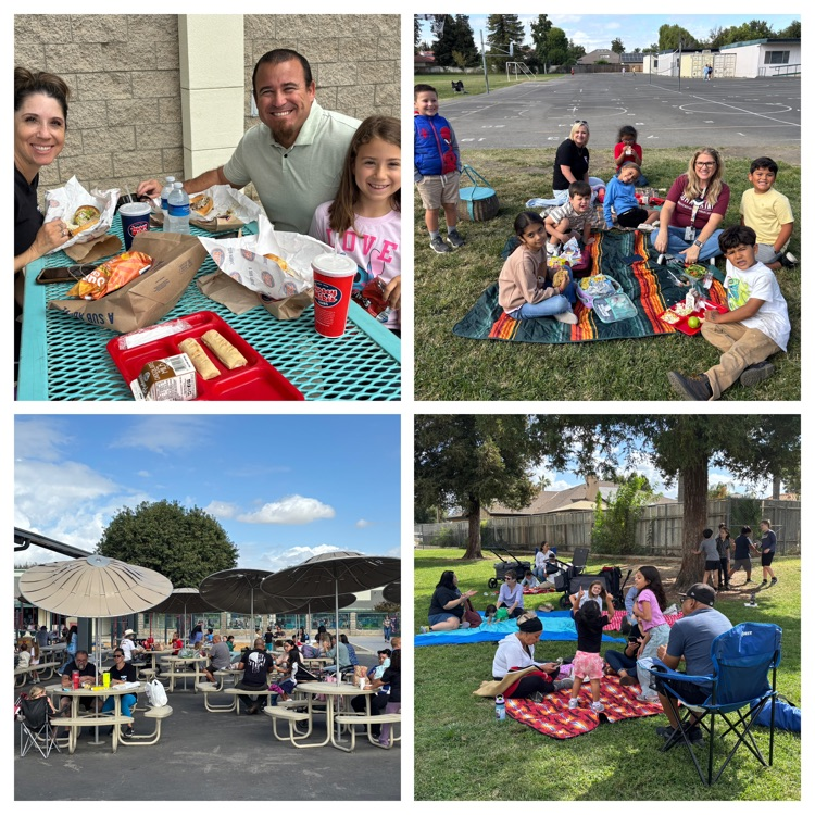 families enjoying picnic lunch