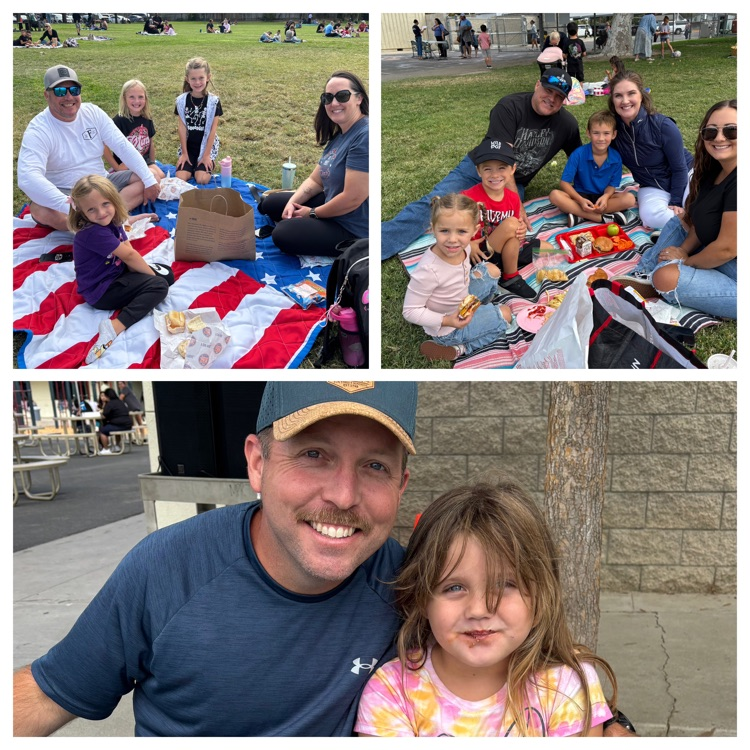 families having a picnic lunch