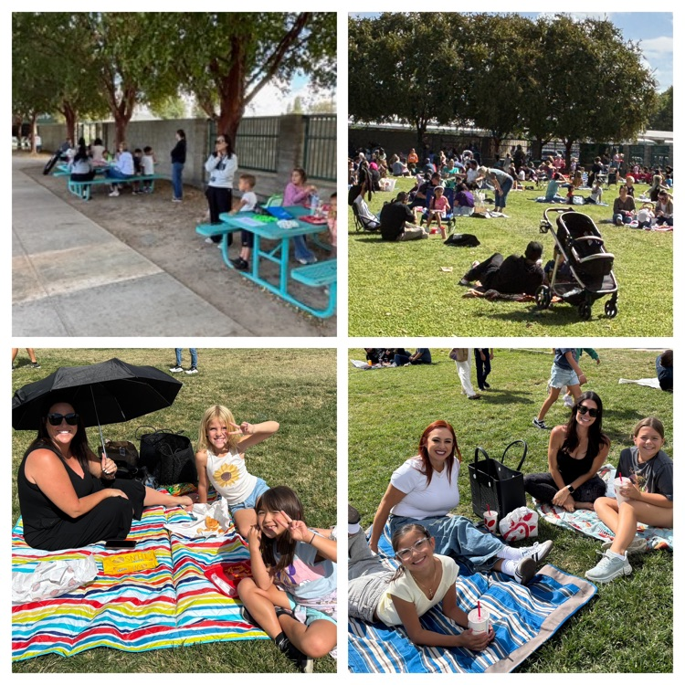 family picnic