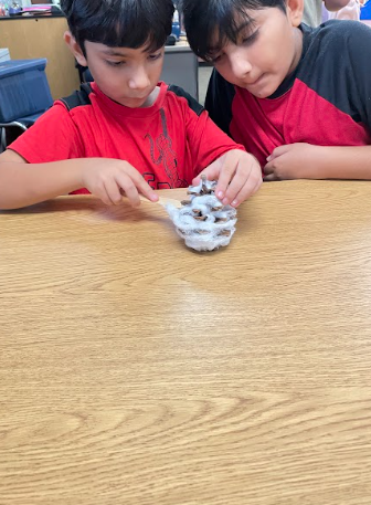 students with pinecones