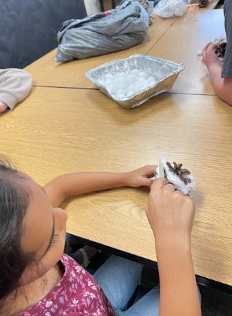 students with pinecones
