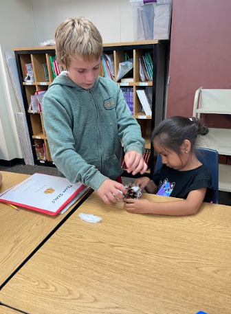 students with pinecones