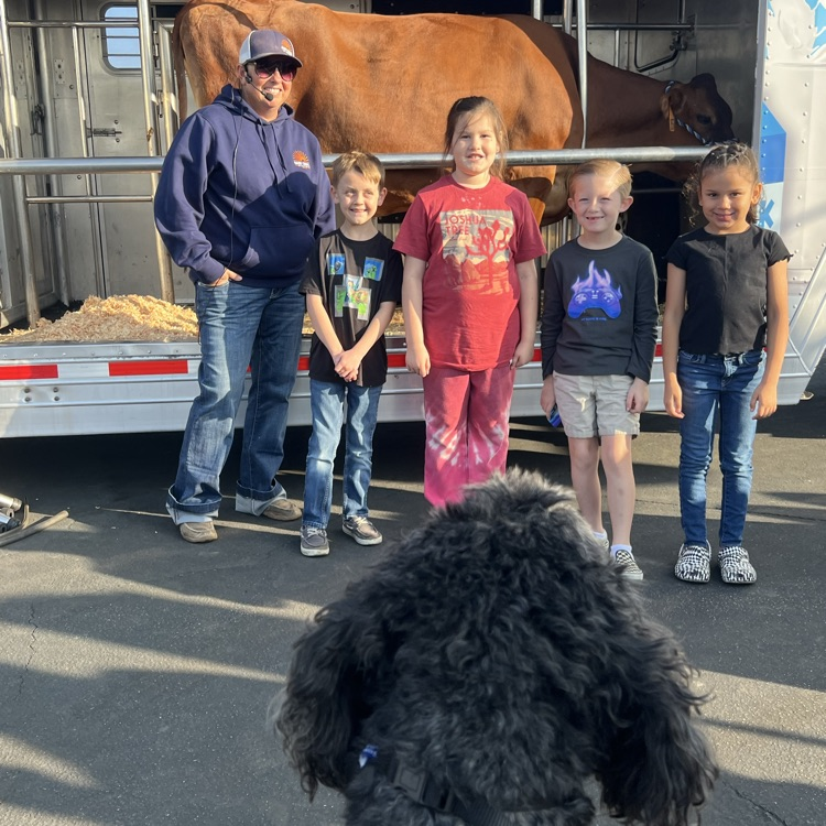 dog looking at a cow in a trailer with a mans and kids standing in front