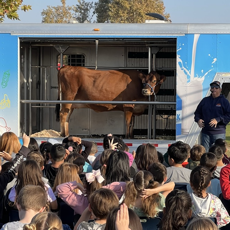 man speaking to students with a brown cow in a trailer 