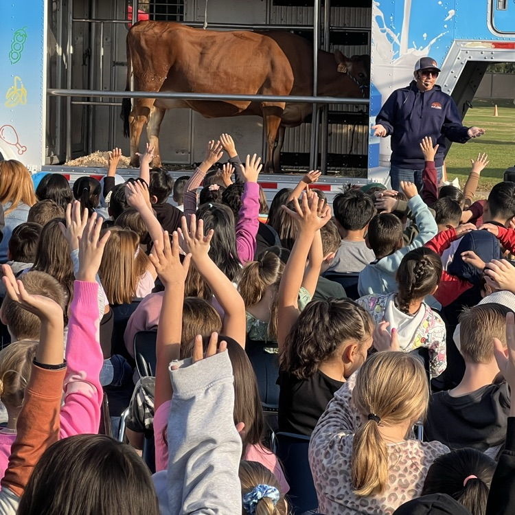 man speaking to kids raising their hands with a brown cow in a trailer 