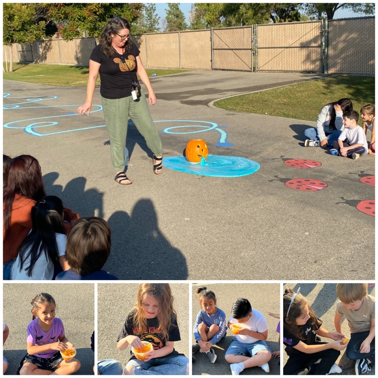 students cleaning pumpkin seeds