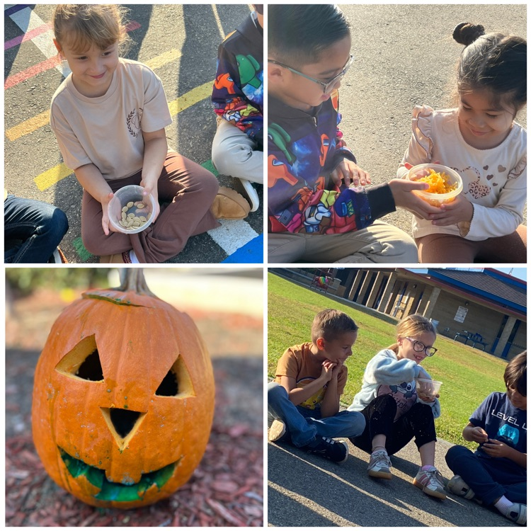 a carved pumpkin and students cleaning pumpkin seeds