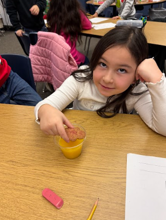 students observing gingerbread cookie floating in a liquid