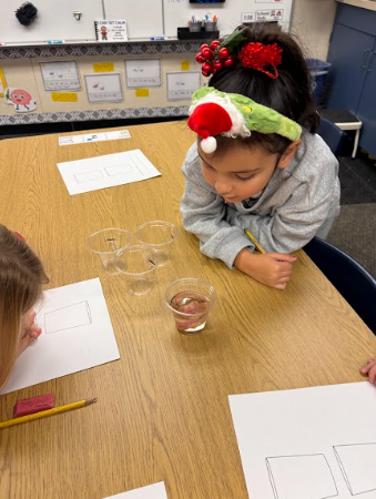 students observing gingerbread cookie floating in a liquid