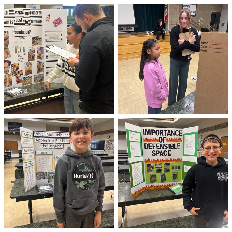 students at science fair