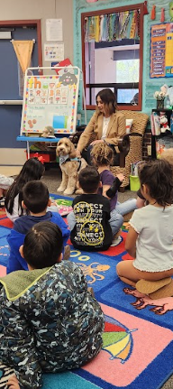 Celebrity readers reading books to students