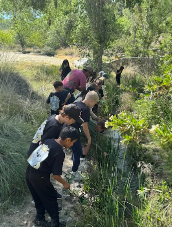 students by a stream