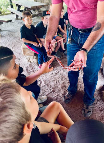 students touching a snake