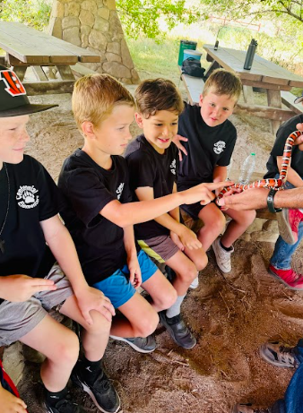 students touching a snake
