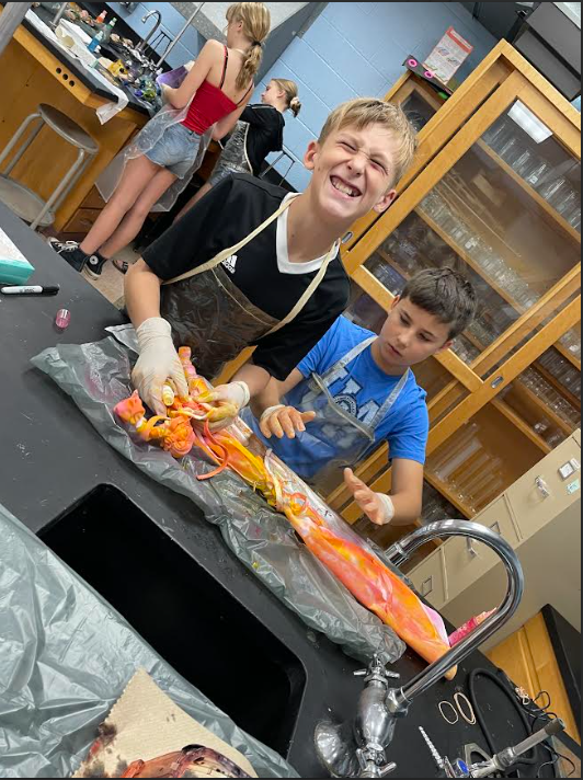 Mrs. Pliska's 6th Grade STEM class