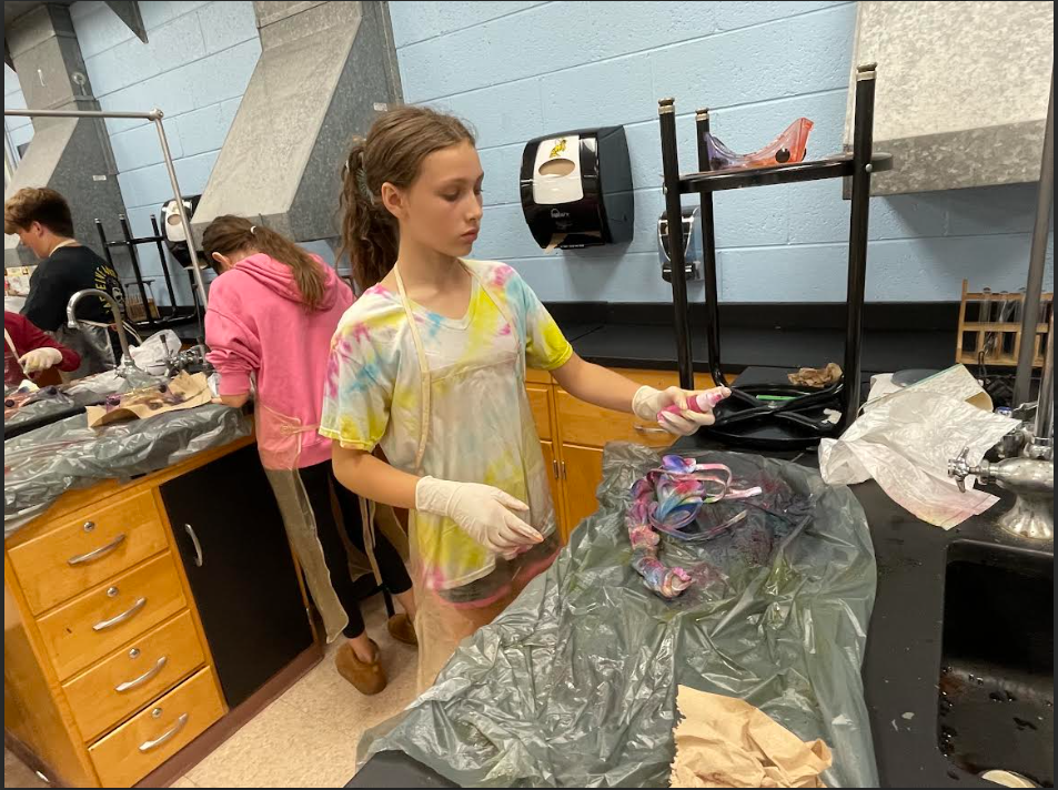 Mrs. Pliska's 6th Grade STEM class