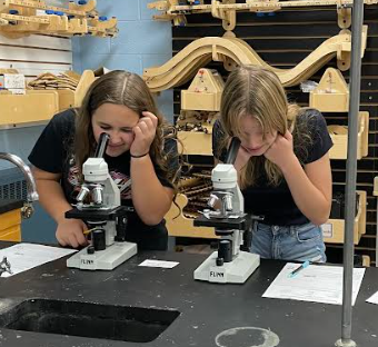 Mrs. Pliska's STEM class put their creative thinking skills to work by "Saving Fred"!