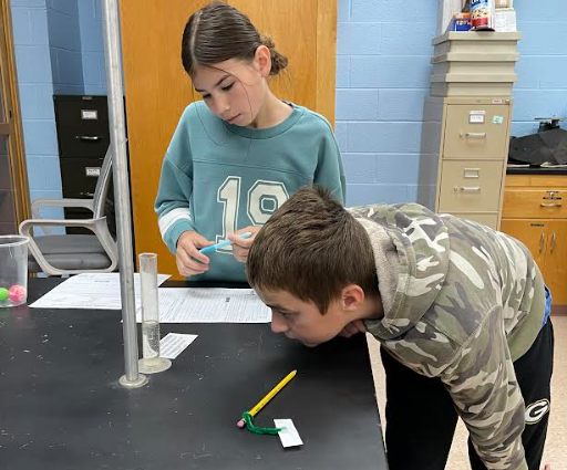 Mrs. Pliska's STEM class put their creative thinking skills to work by "Saving Fred"!
