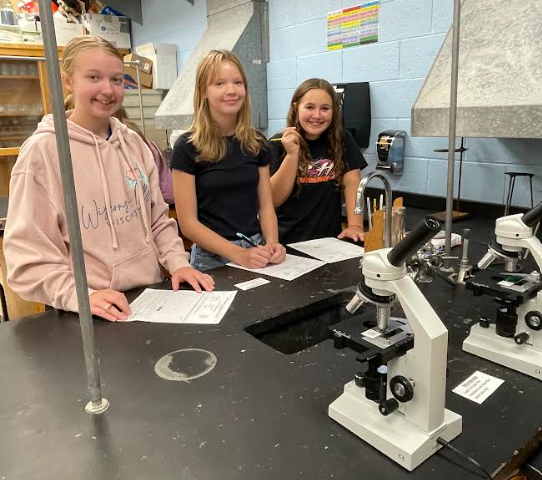 Mrs. Pliska's STEM class put their creative thinking skills to work by "Saving Fred"!