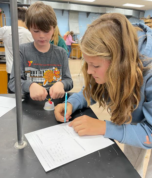 Mrs. Pliska's STEM class put their creative thinking skills to work by "Saving Fred"!