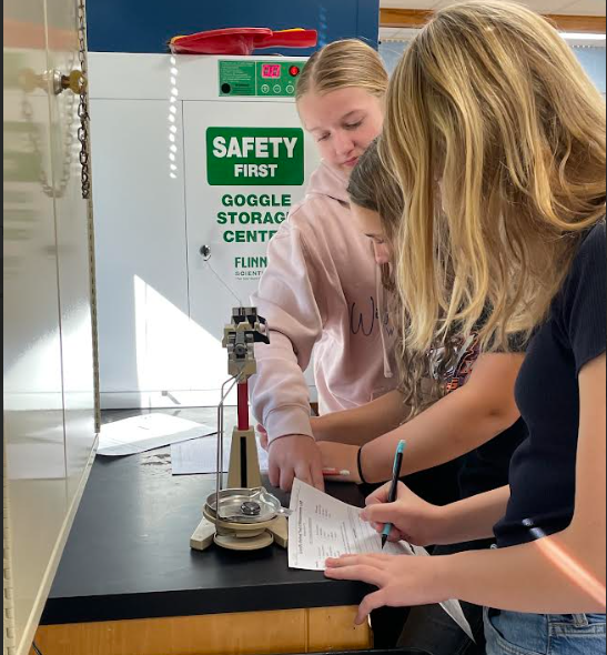 Mrs. Pliska's STEM class put their creative thinking skills to work by "Saving Fred"!