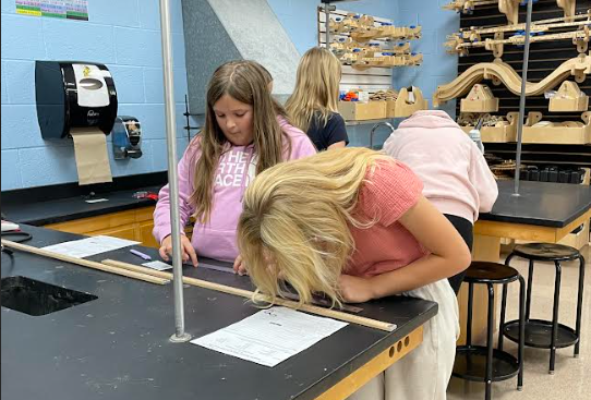 Mrs. Pliska's STEM class put their creative thinking skills to work by "Saving Fred"!