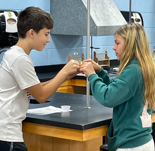 Mrs. Pliska's STEM class put their creative thinking skills to work by "Saving Fred"!