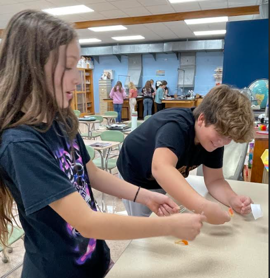 Mrs. Pliska's STEM class put their creative thinking skills to work by "Saving Fred"!