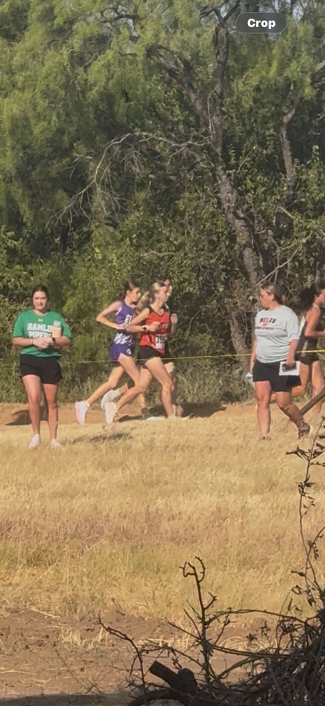 cross country hs
