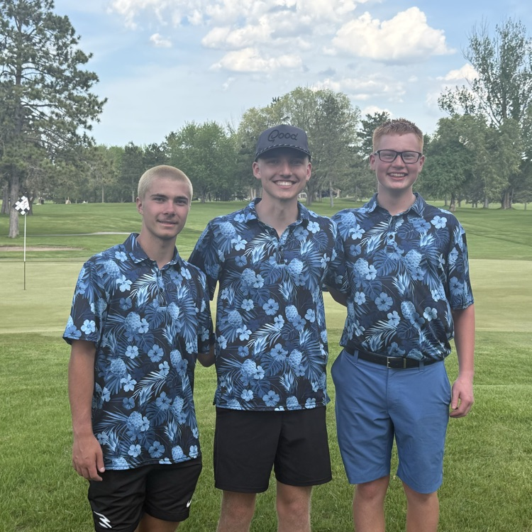Golfer at sub sections.
