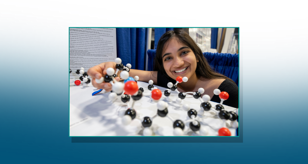 Westwood Science winner
