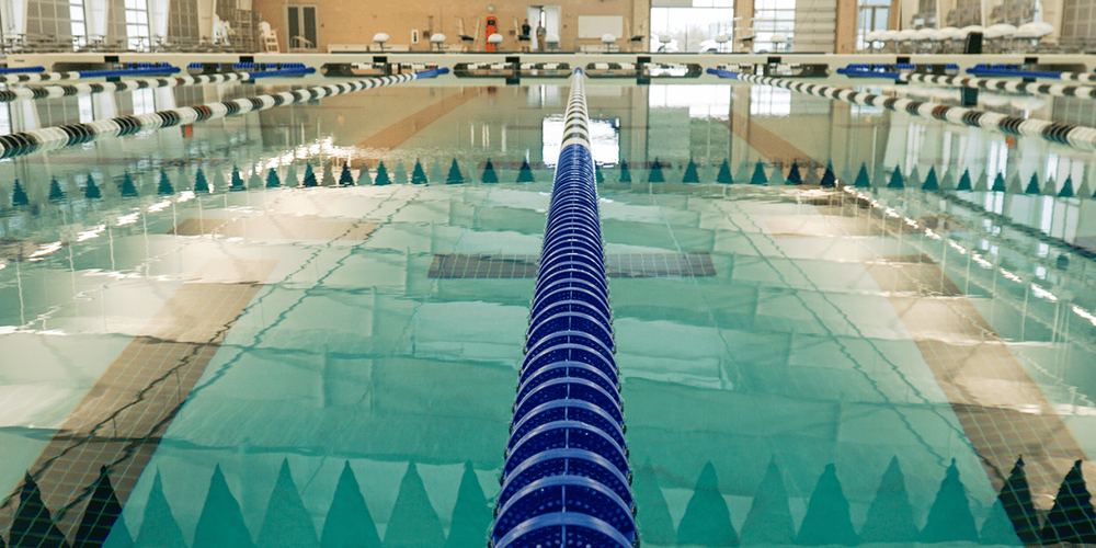 Round Rock and Westwood swimmers earn top prizes at 2023 UIL State Swim Meet